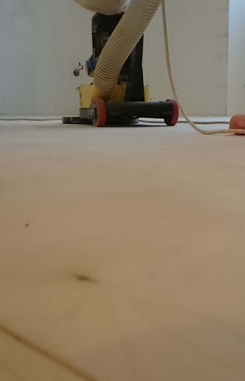 Sanding_1 (105)_1.jpg