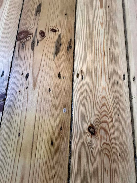Sanding_1 (115).jpg