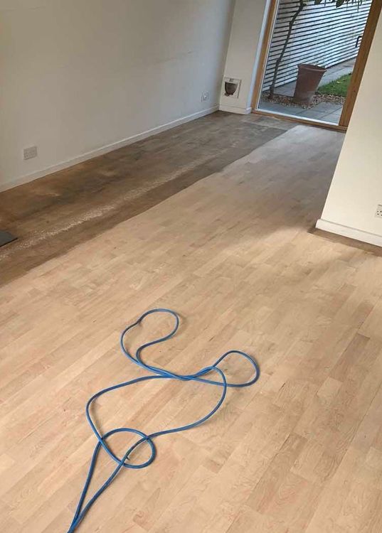 Sanding_1 (1761)_1.jpg