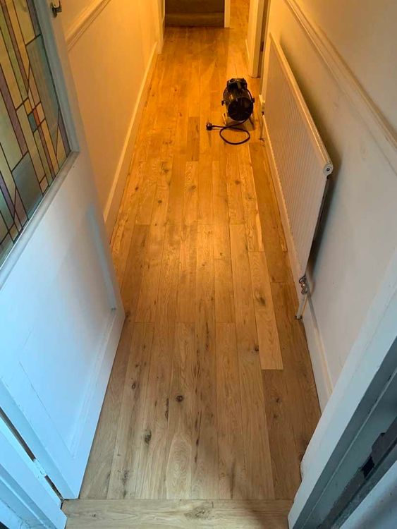 Sanding_1 (1823)_1.jpg