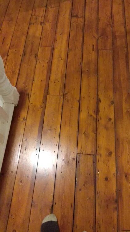 Sanding_1 (2543).jpg
