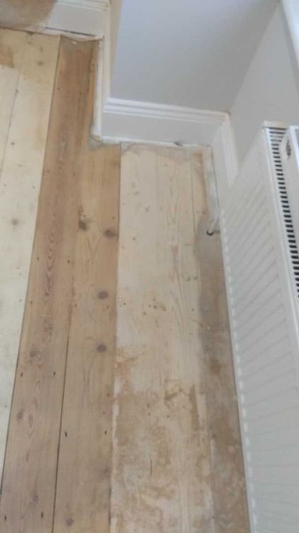 Sanding_1 (2584).jpg