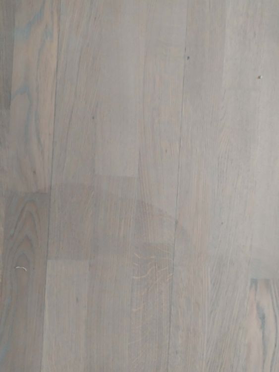 Sanding_1 (3091).jpg