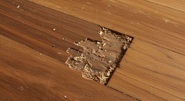 freepik_closeup-of-damaged-floor-_2808868502 copy.jpg
